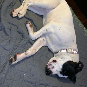 Meet your Posher, Katelyn